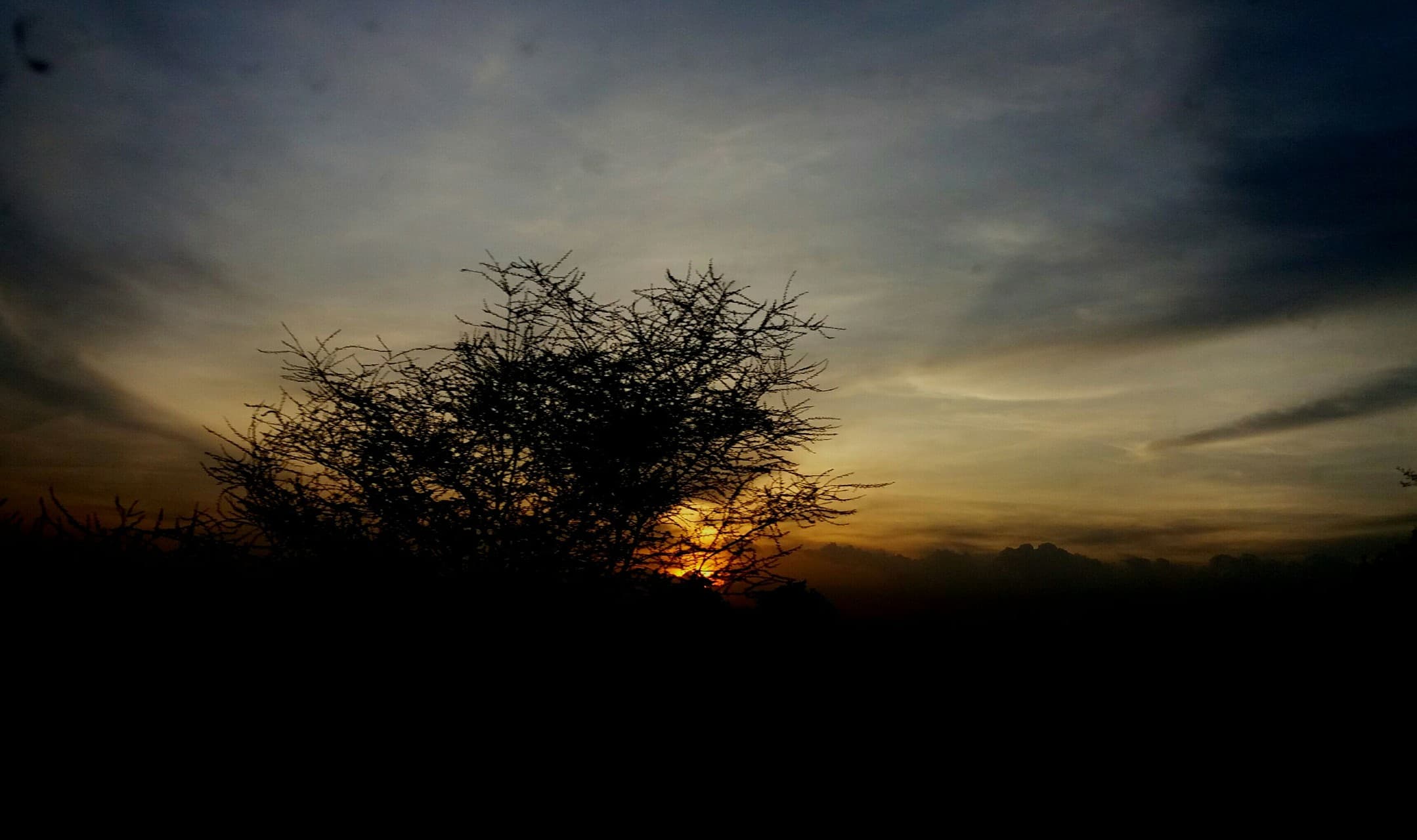 sunset.