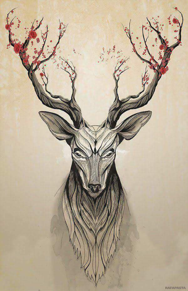 venado