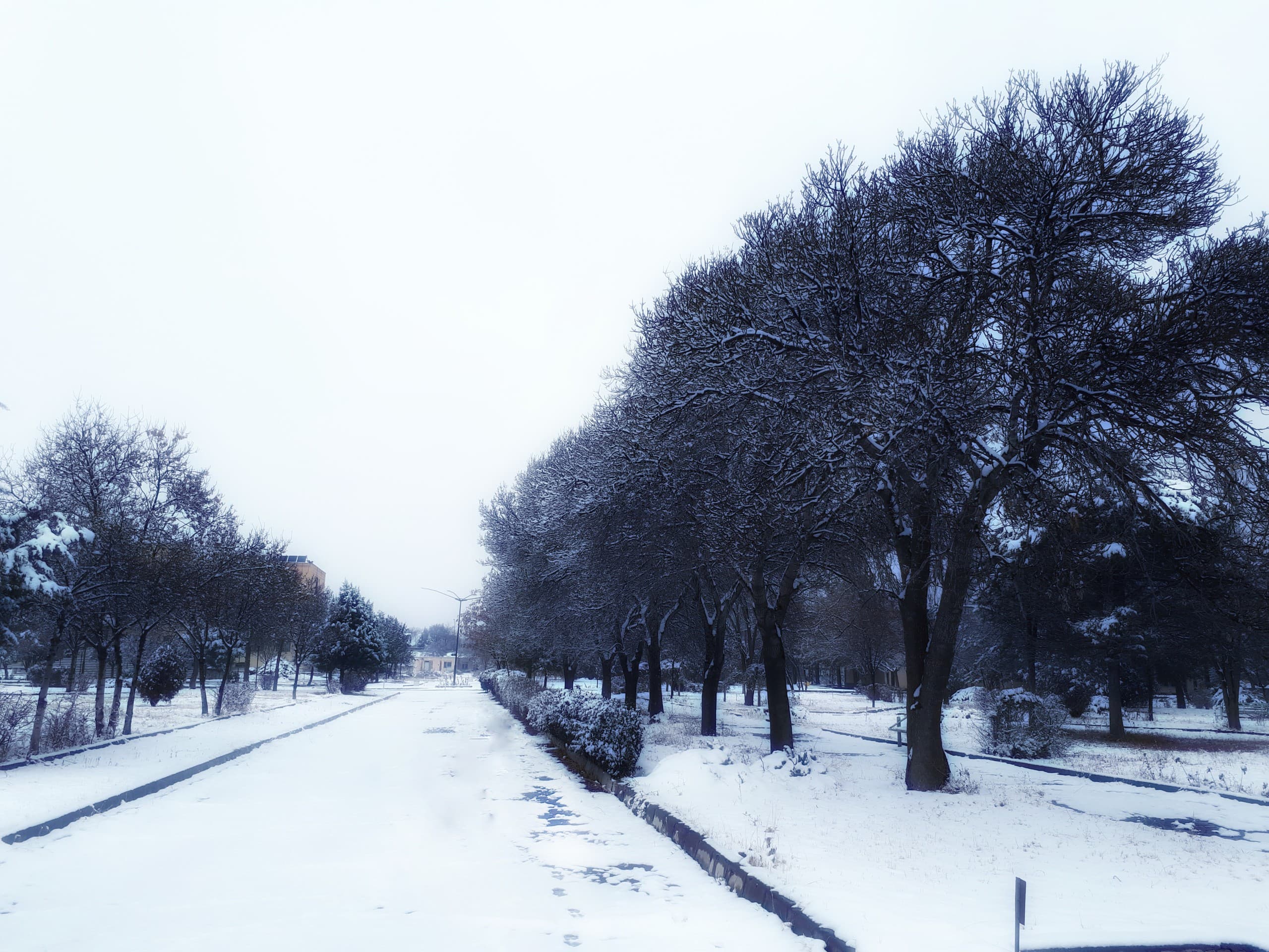 cold winter ??
