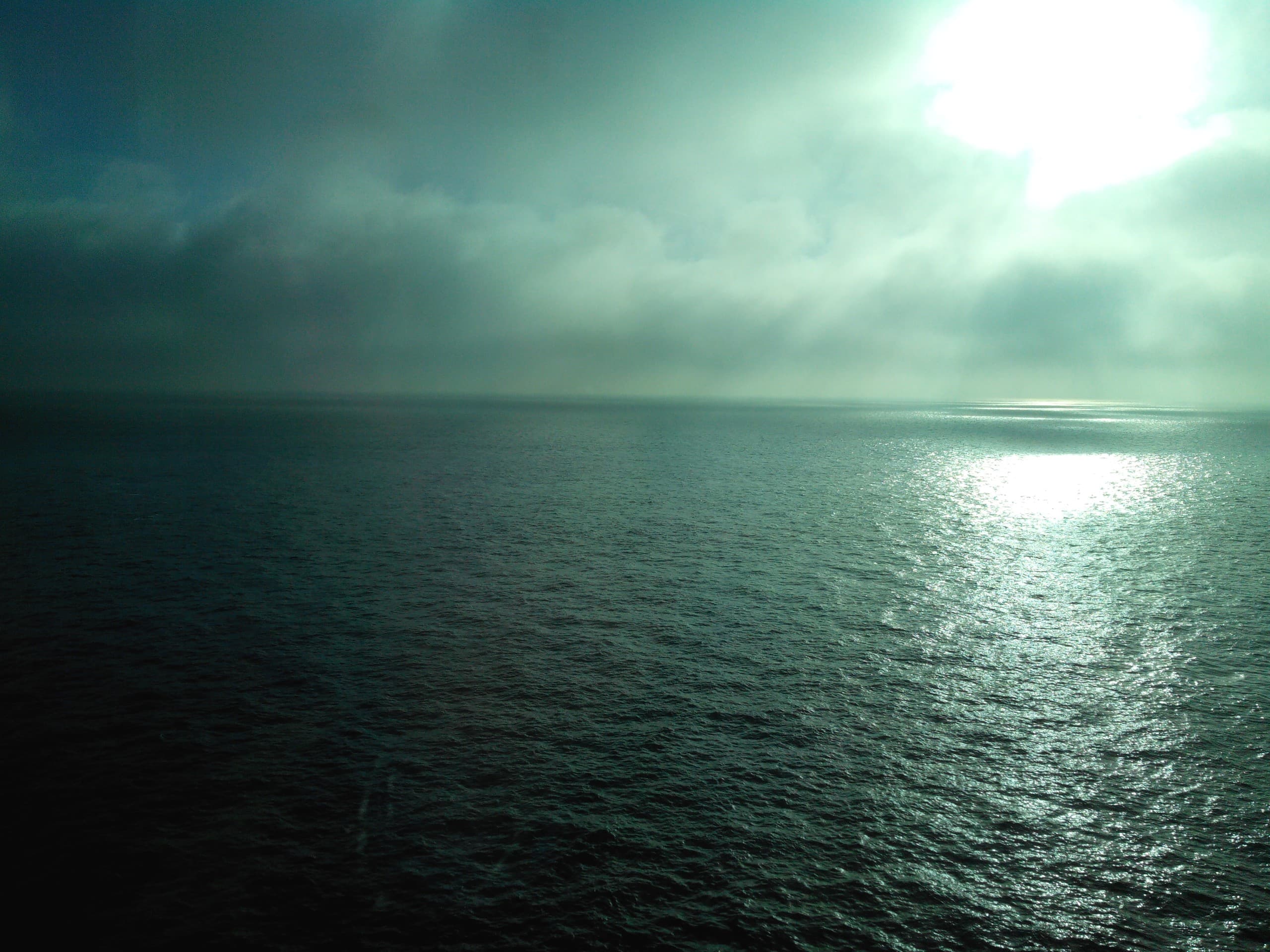 Sea in Nederland