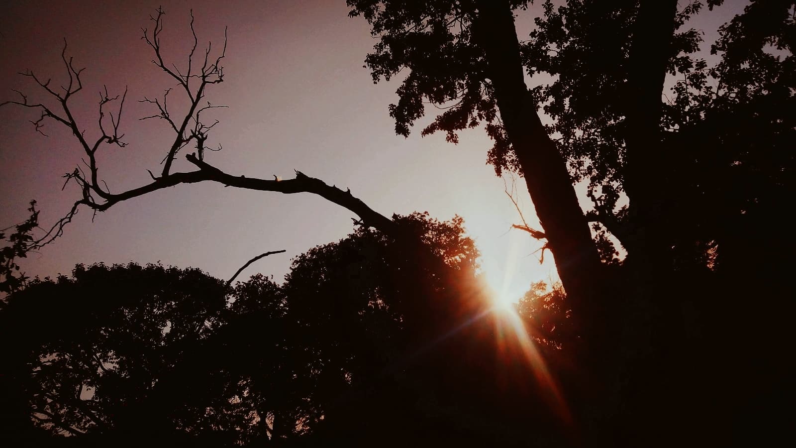 Afternoon