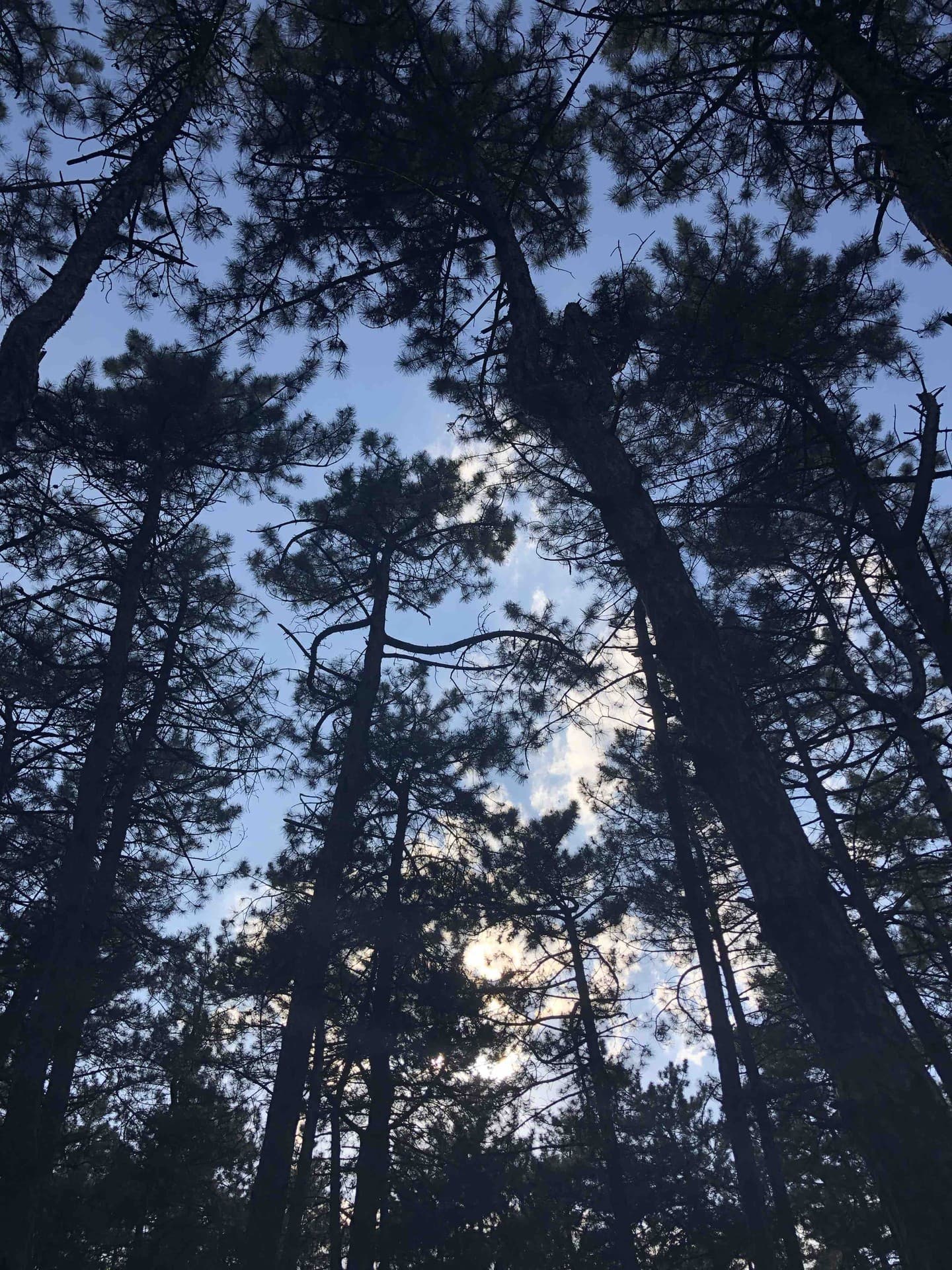 небо