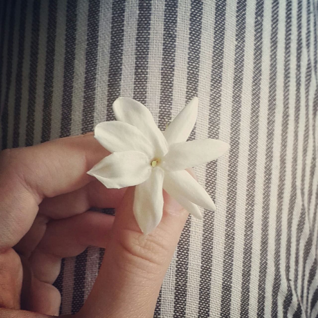 white flower