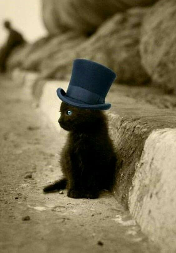 cute na
