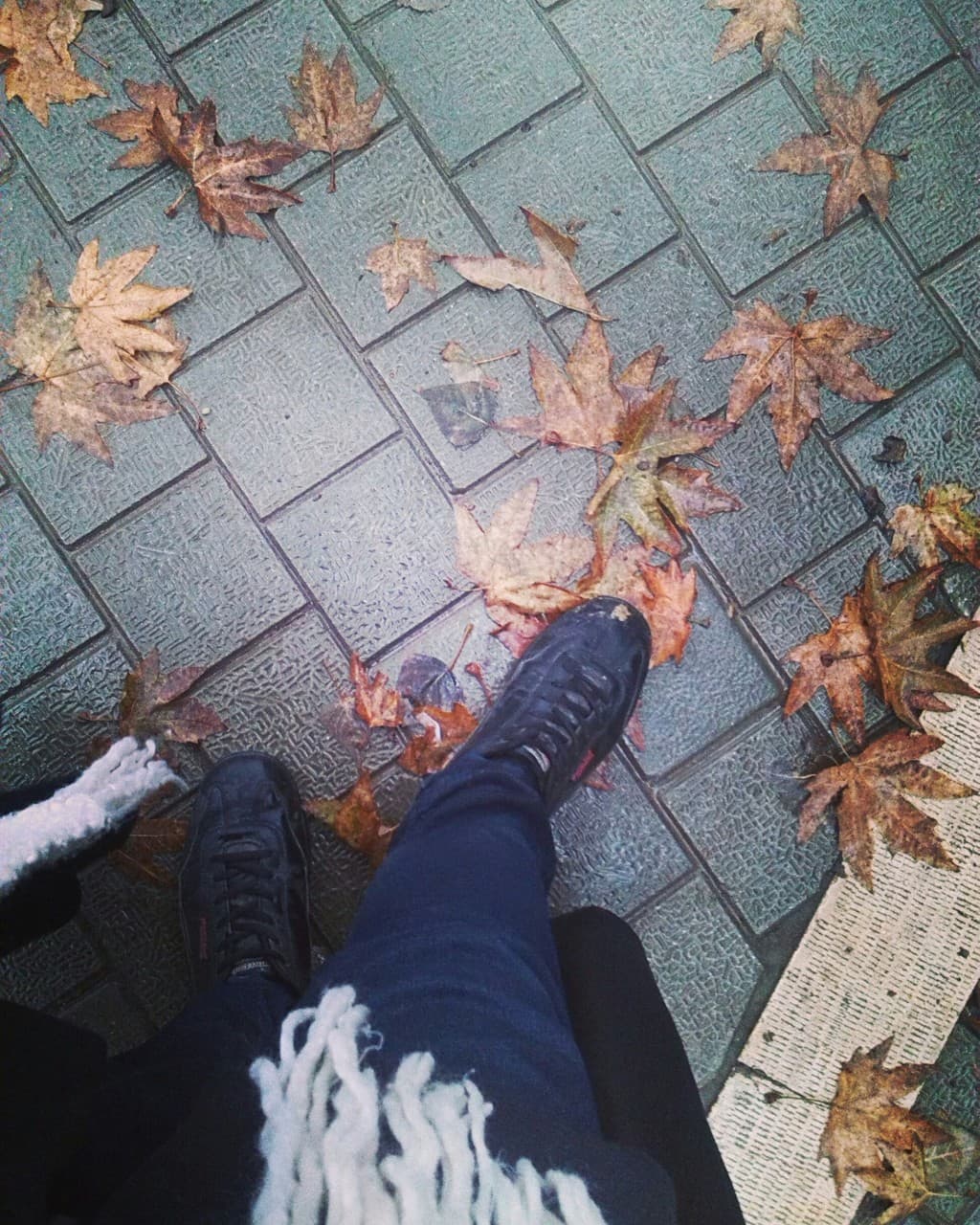 mylove