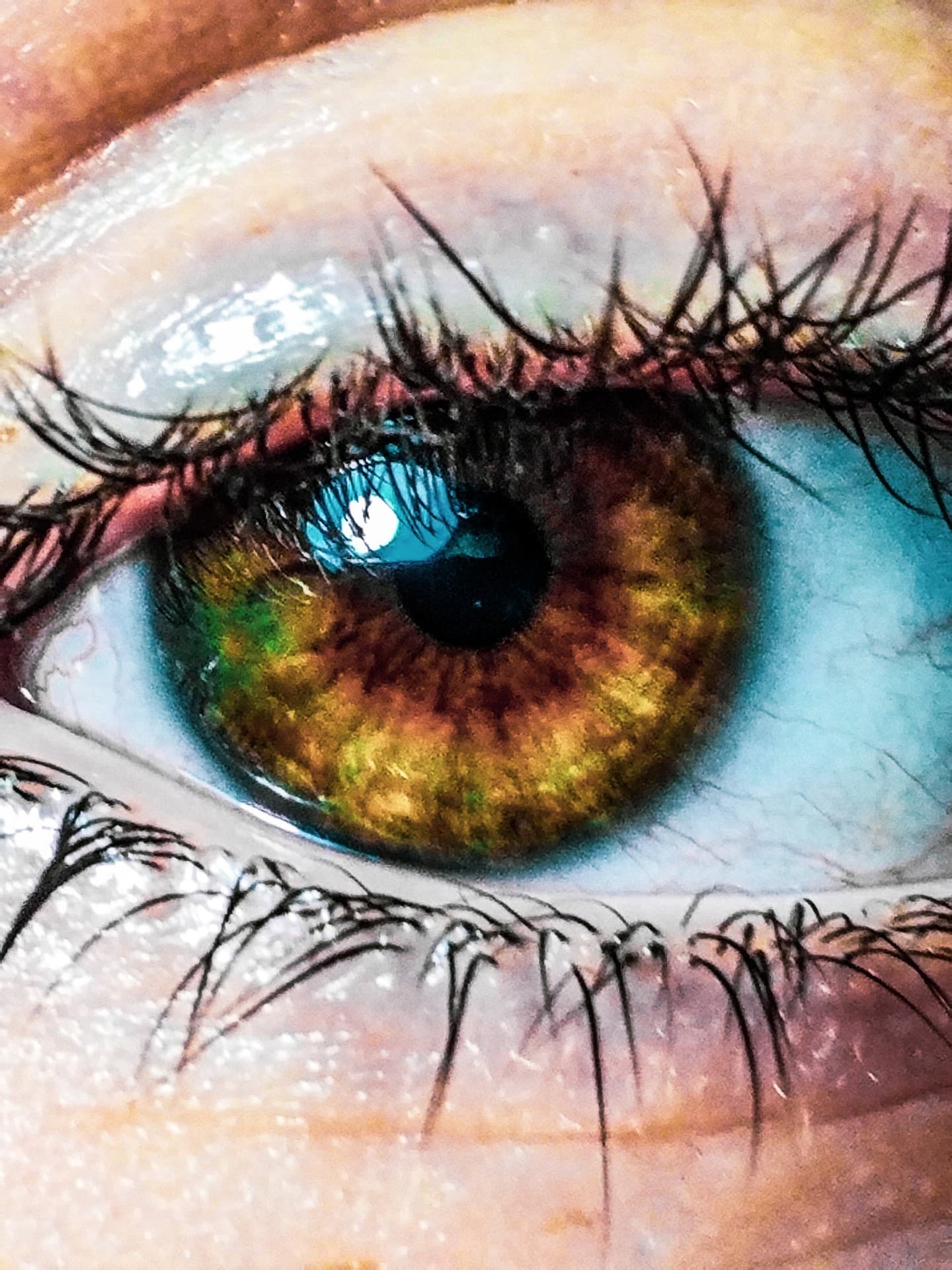 eye