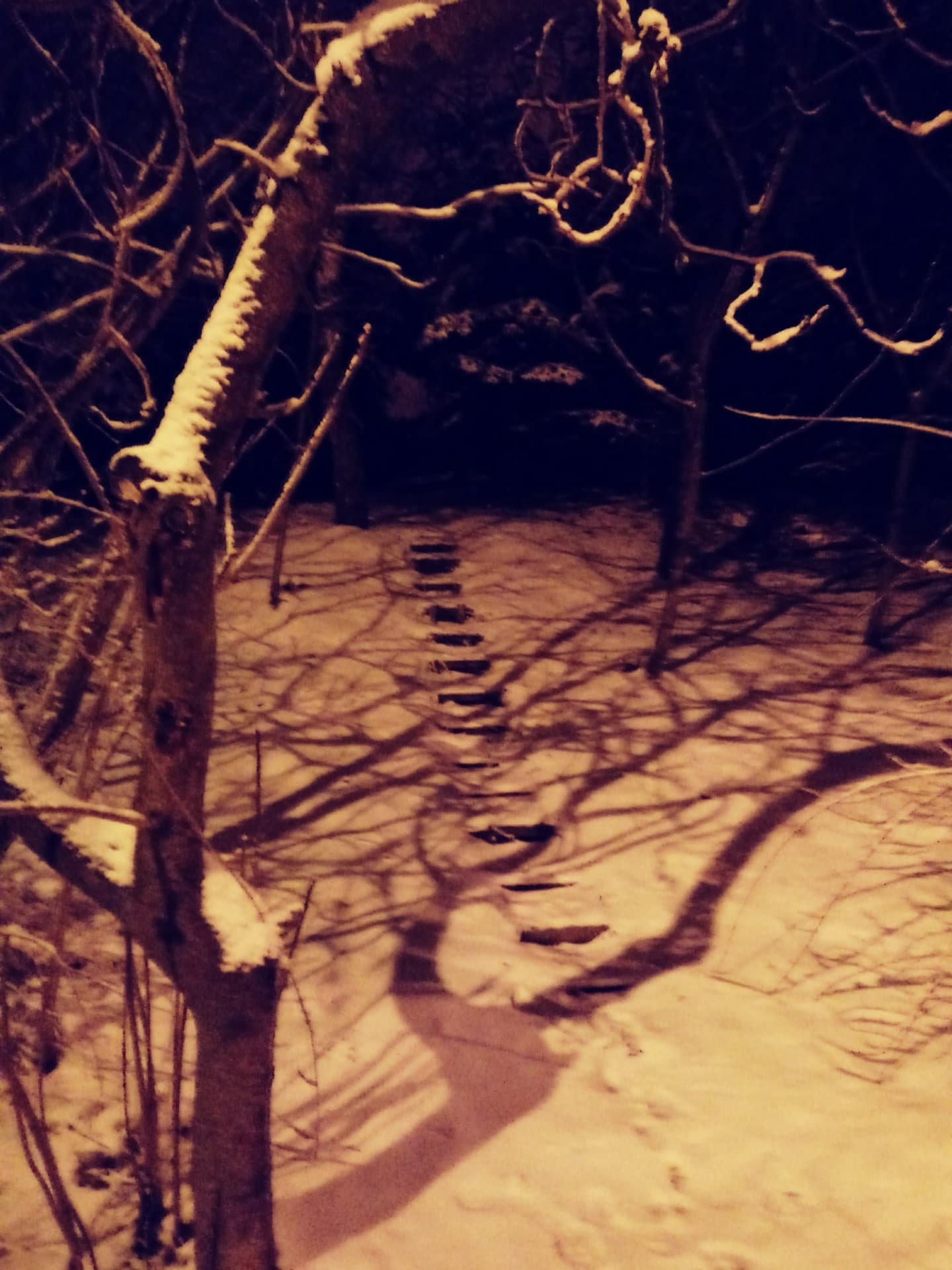 StairsAtSnowingNight