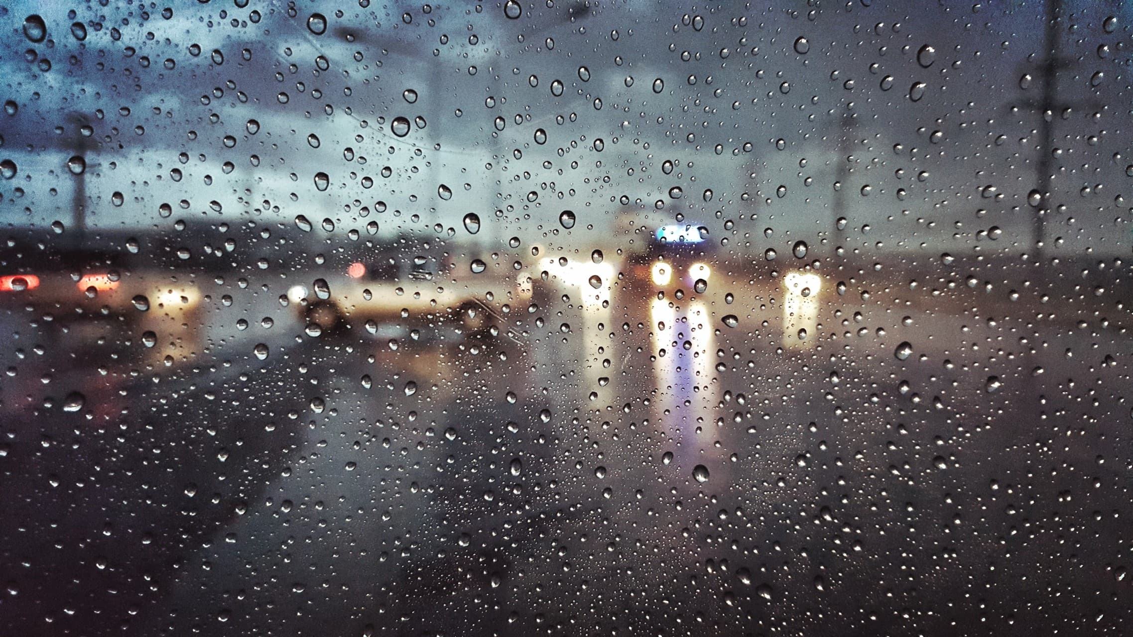 in the rain