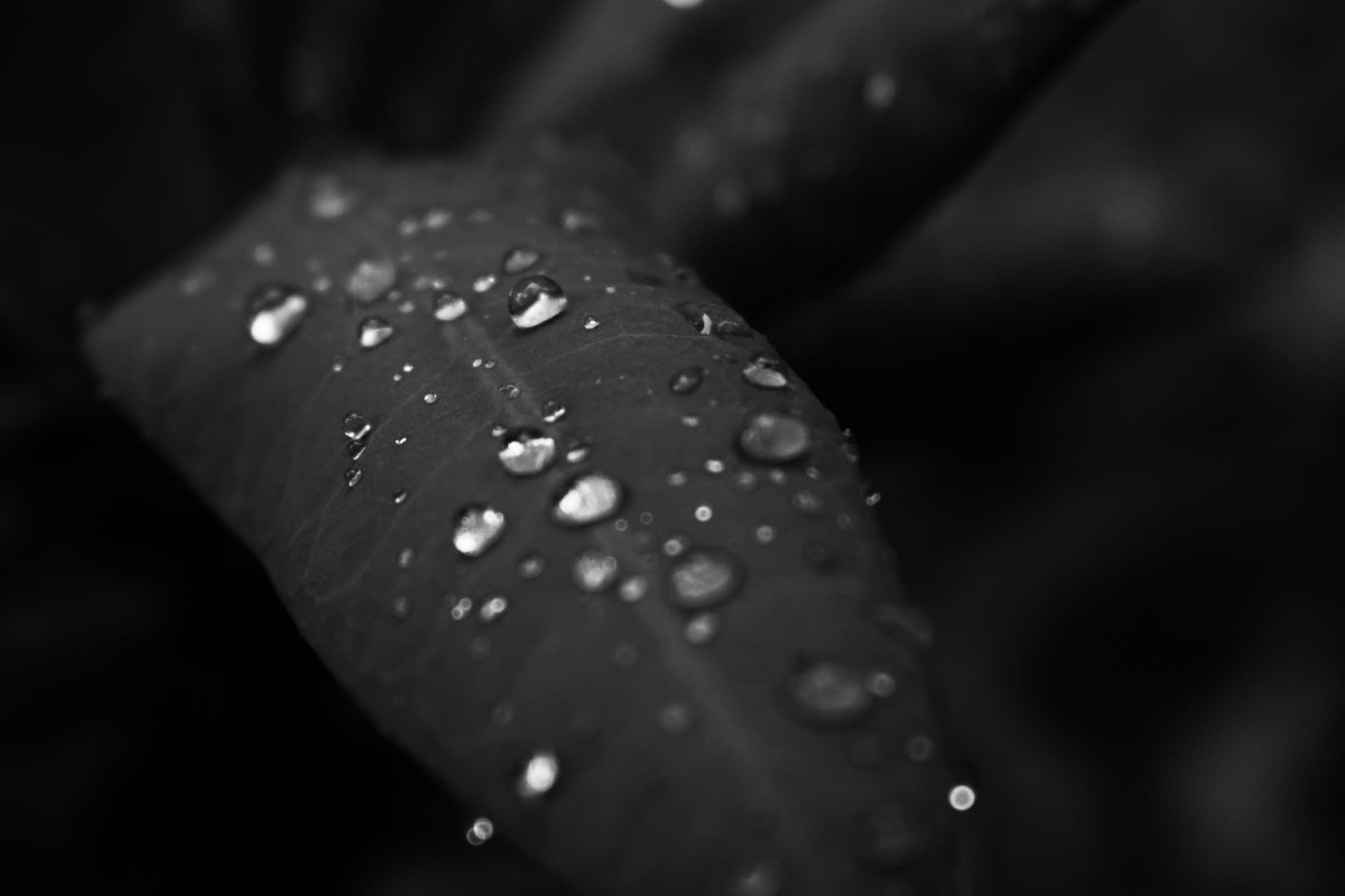 ##Still life photography