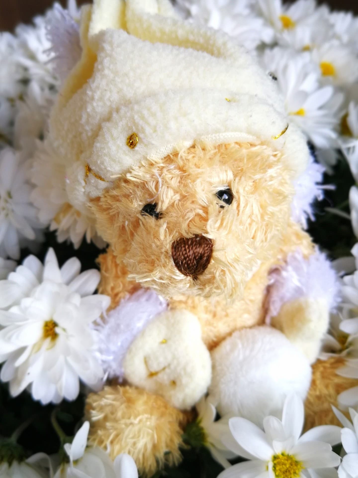 Teddybär