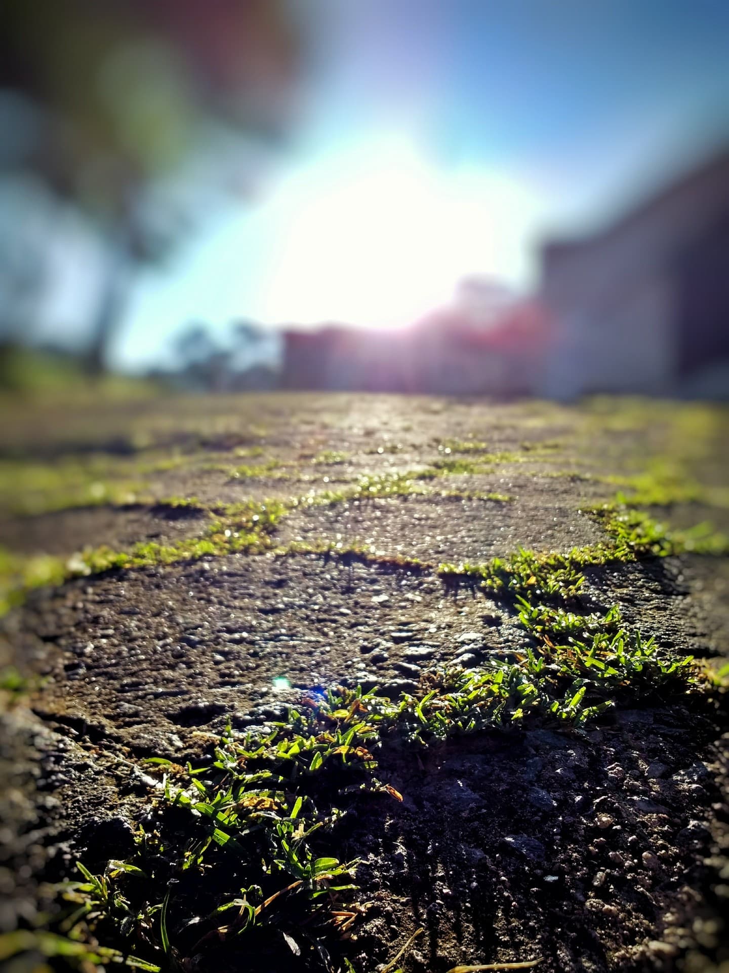Manhã de outono