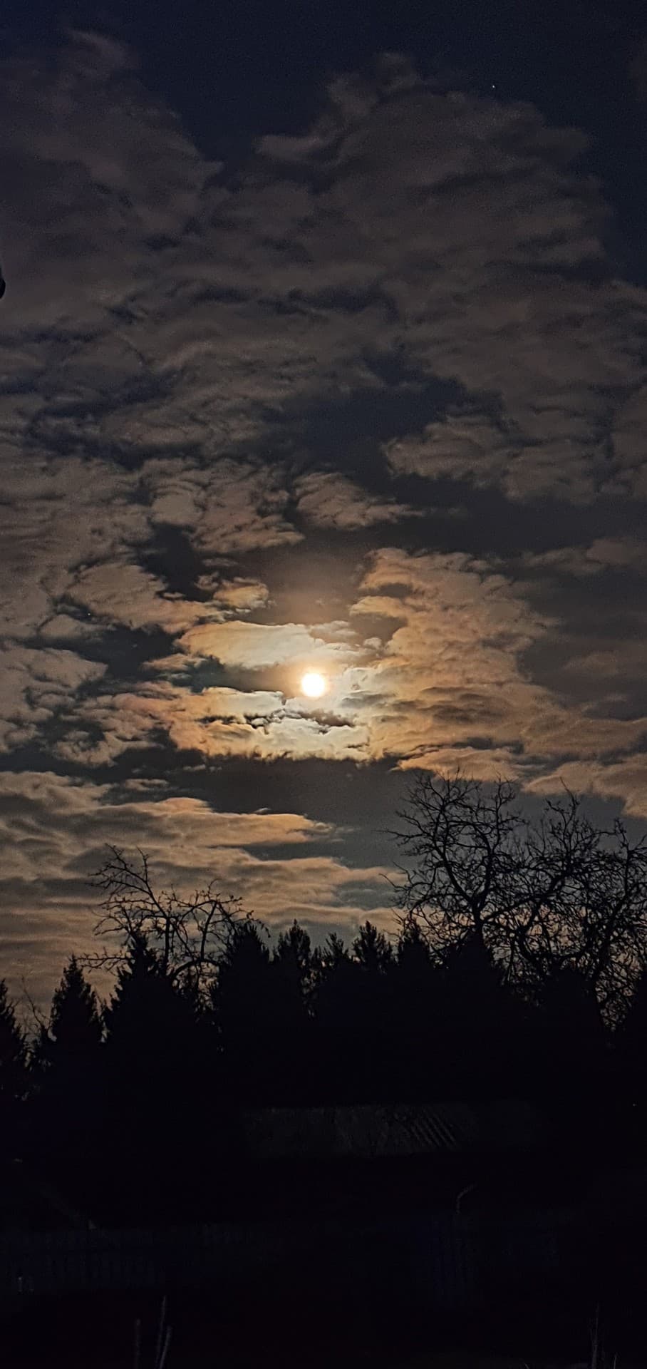 moon