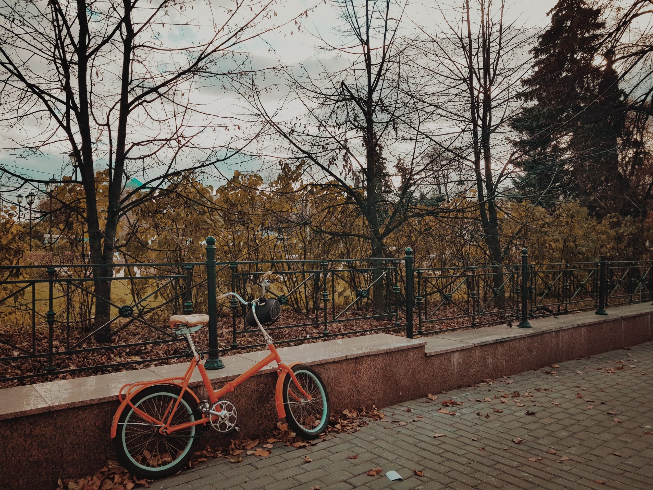 Autumn