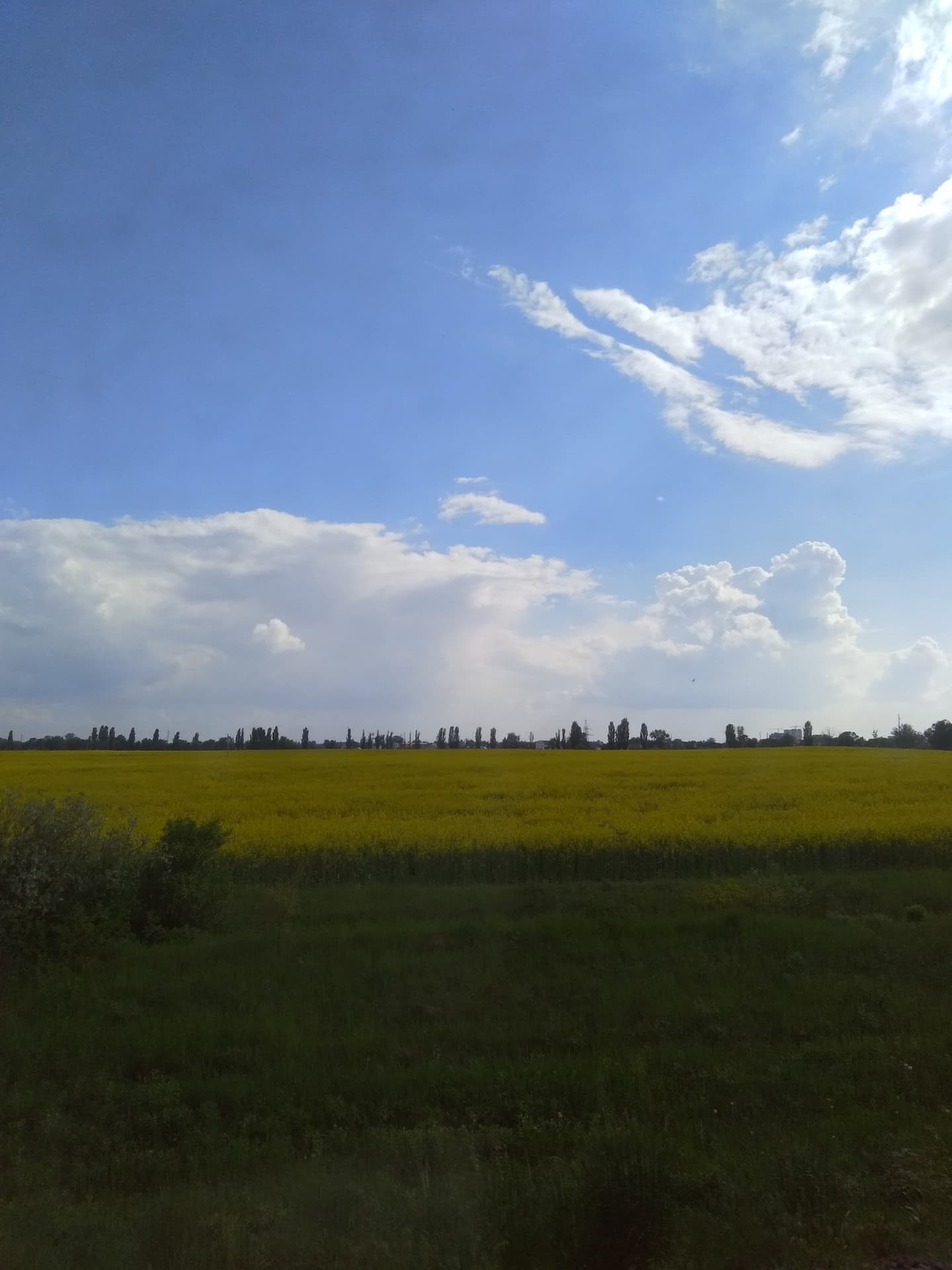 Ukraine