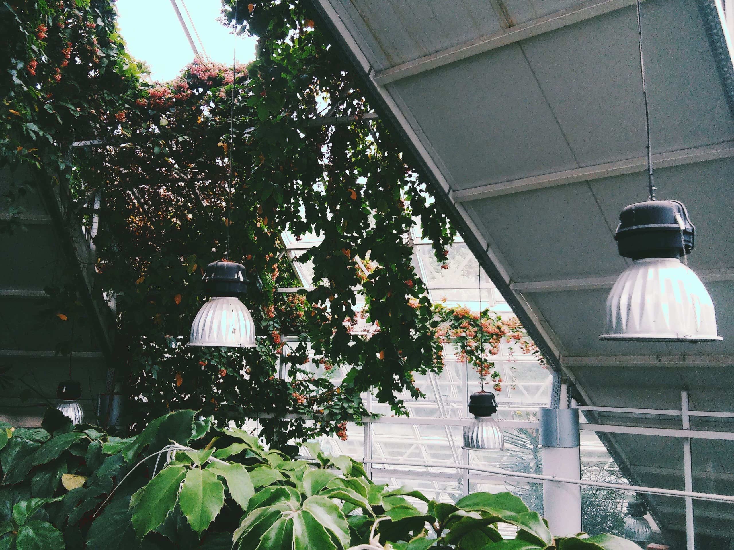 Botanical gardens
