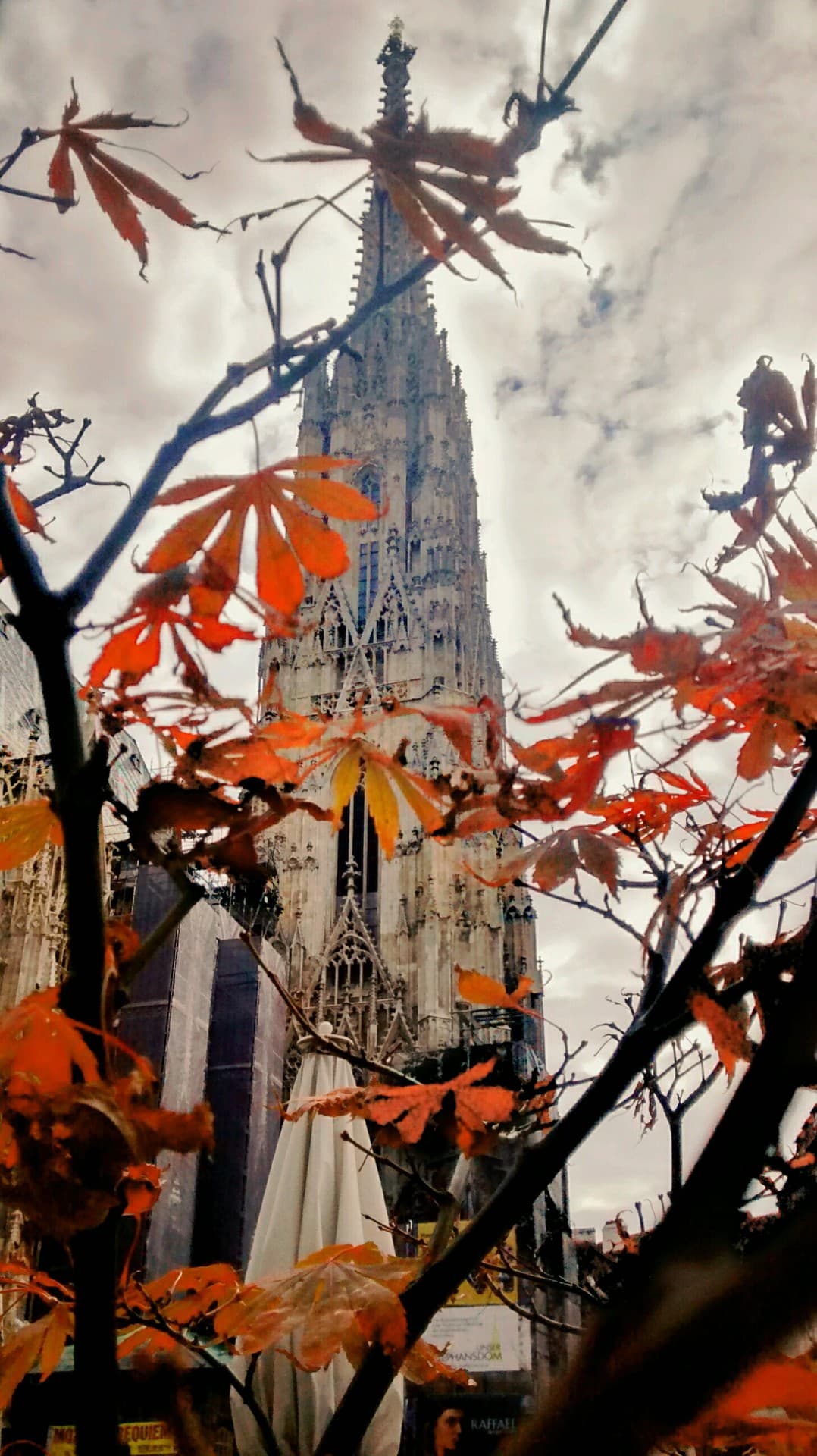 St. Stephen's Cathedral, Vienna