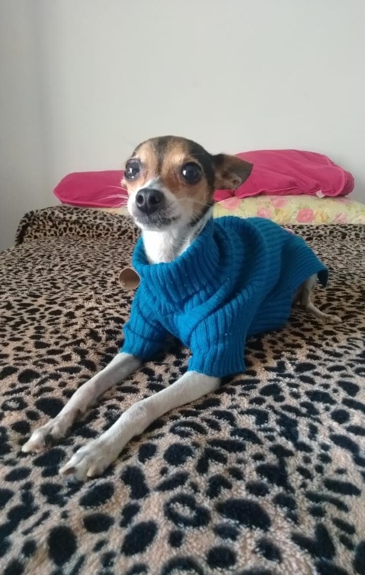 nenezinha