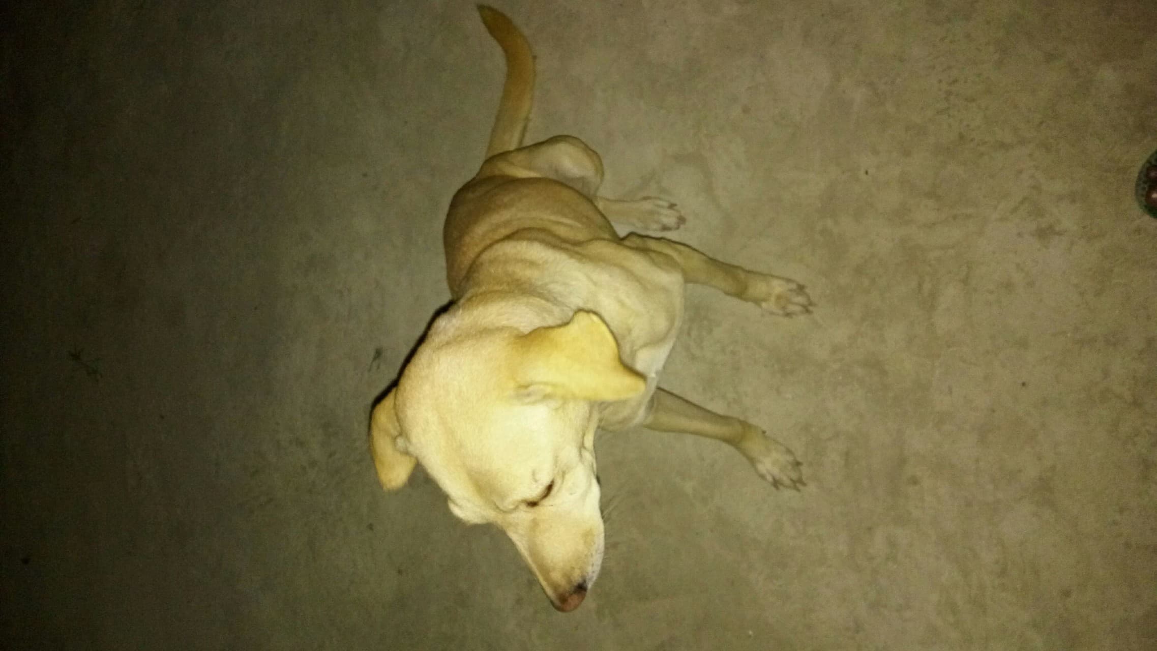 indra