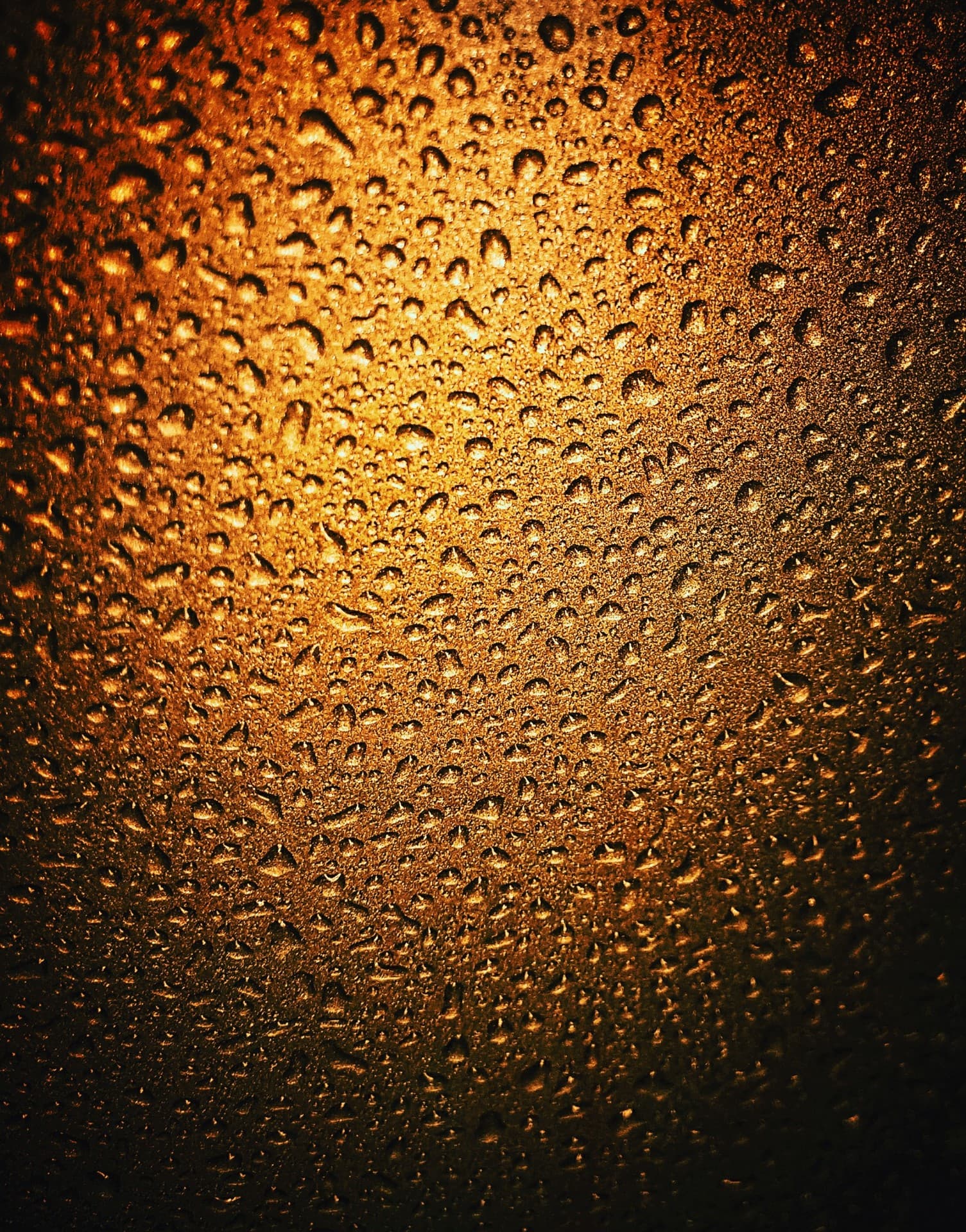 Dourado