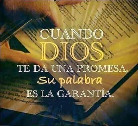 La Garantía