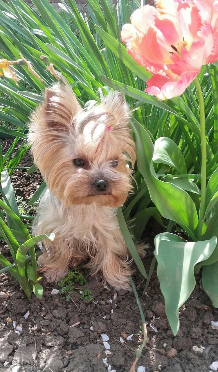 ❤