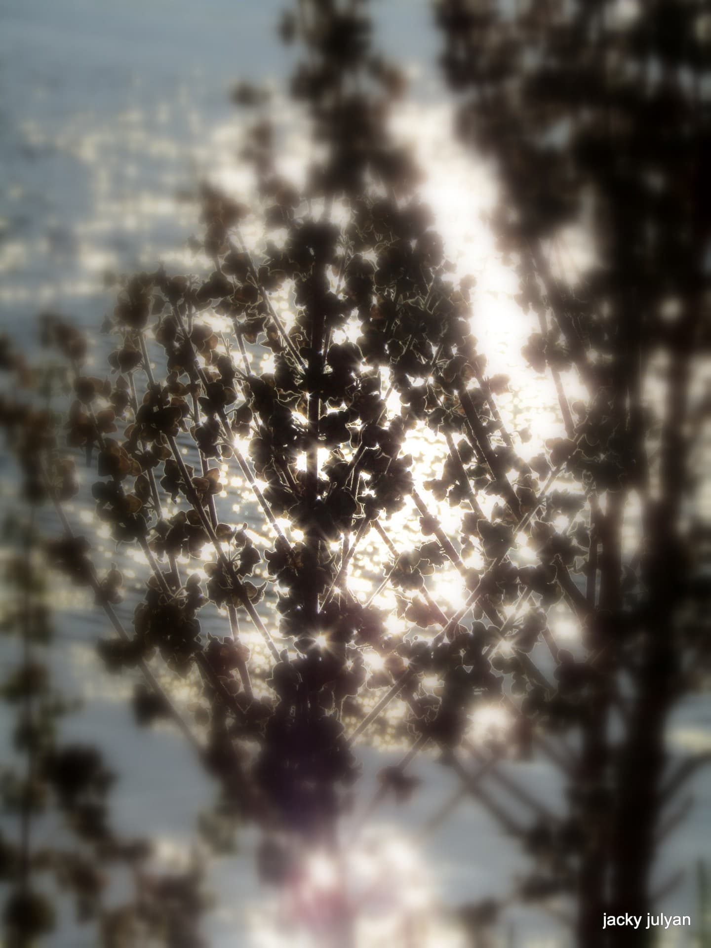 Sparkling dews of hope