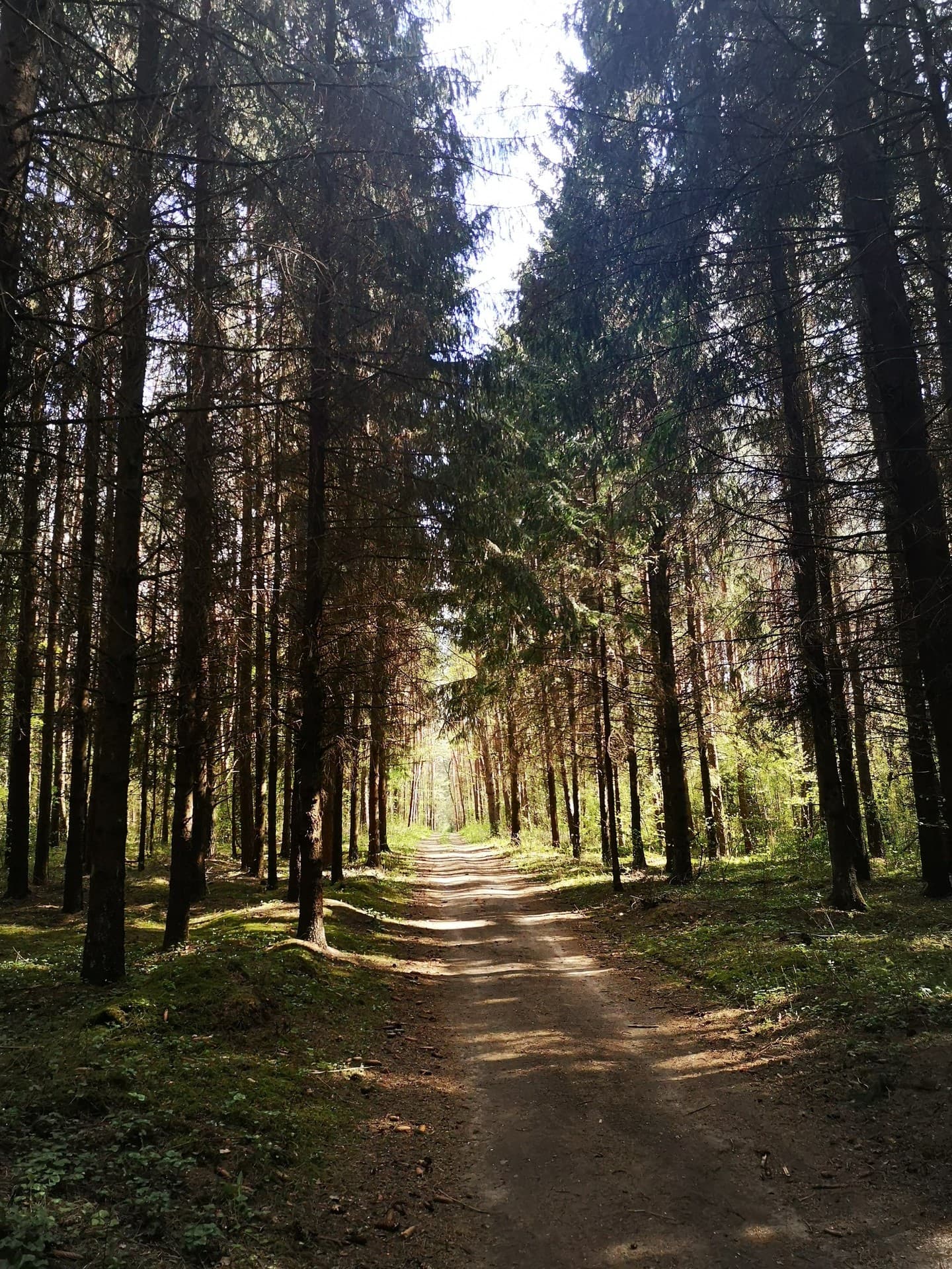 the way