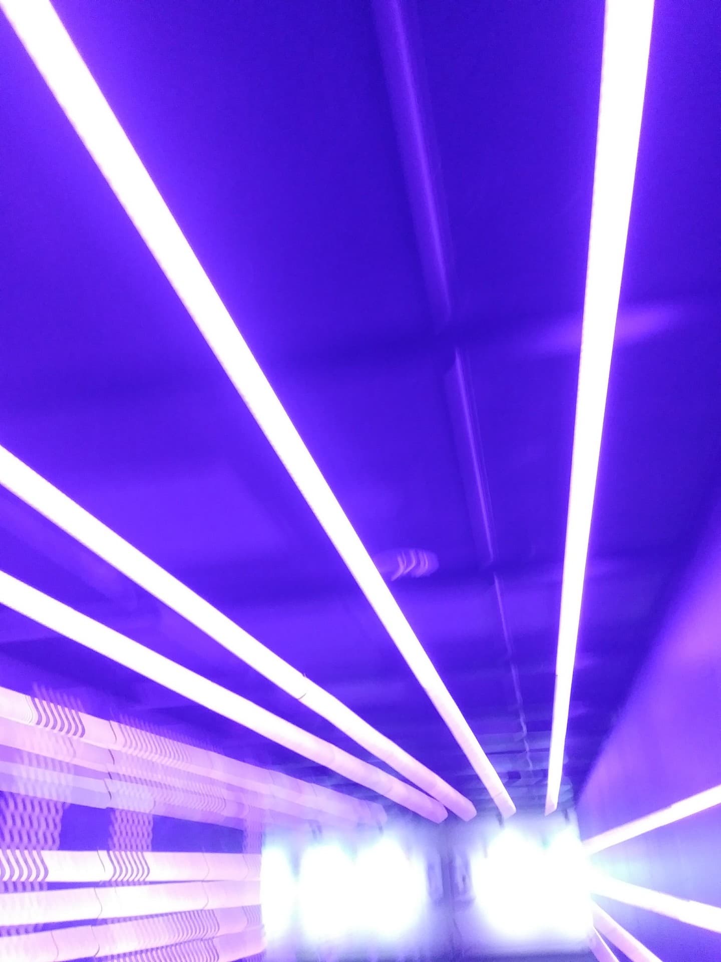 Purple Lights