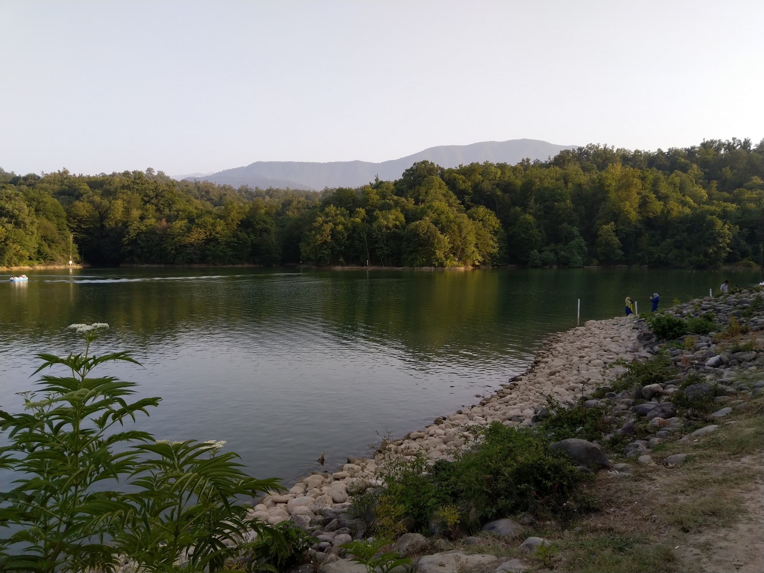 nature