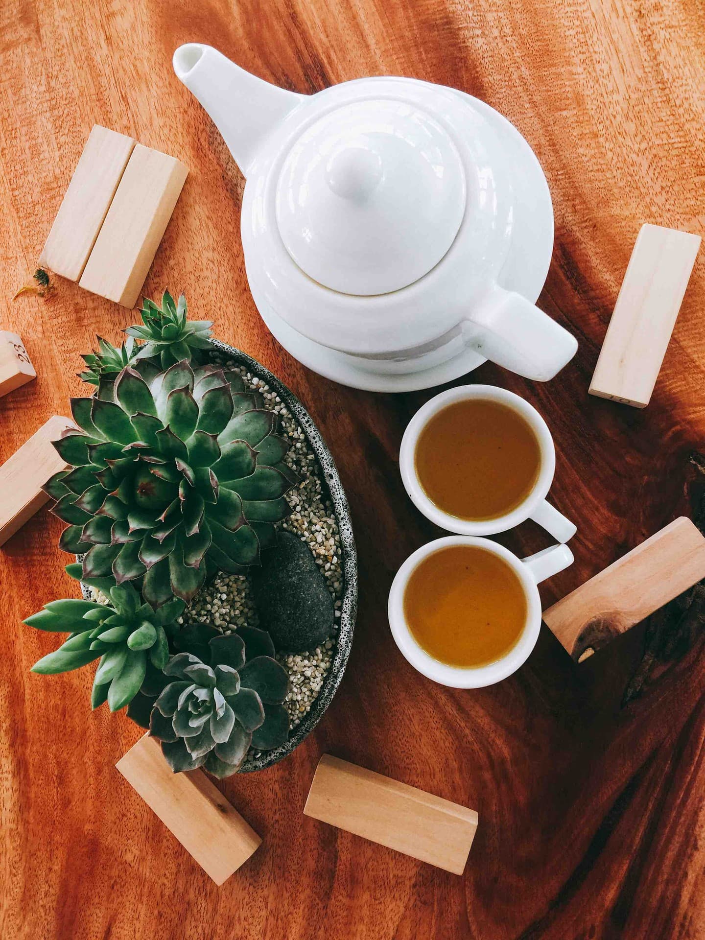 xương rồng