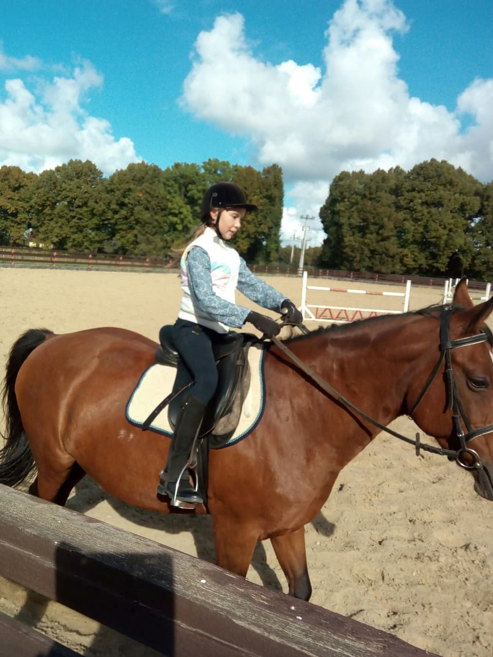Horses))