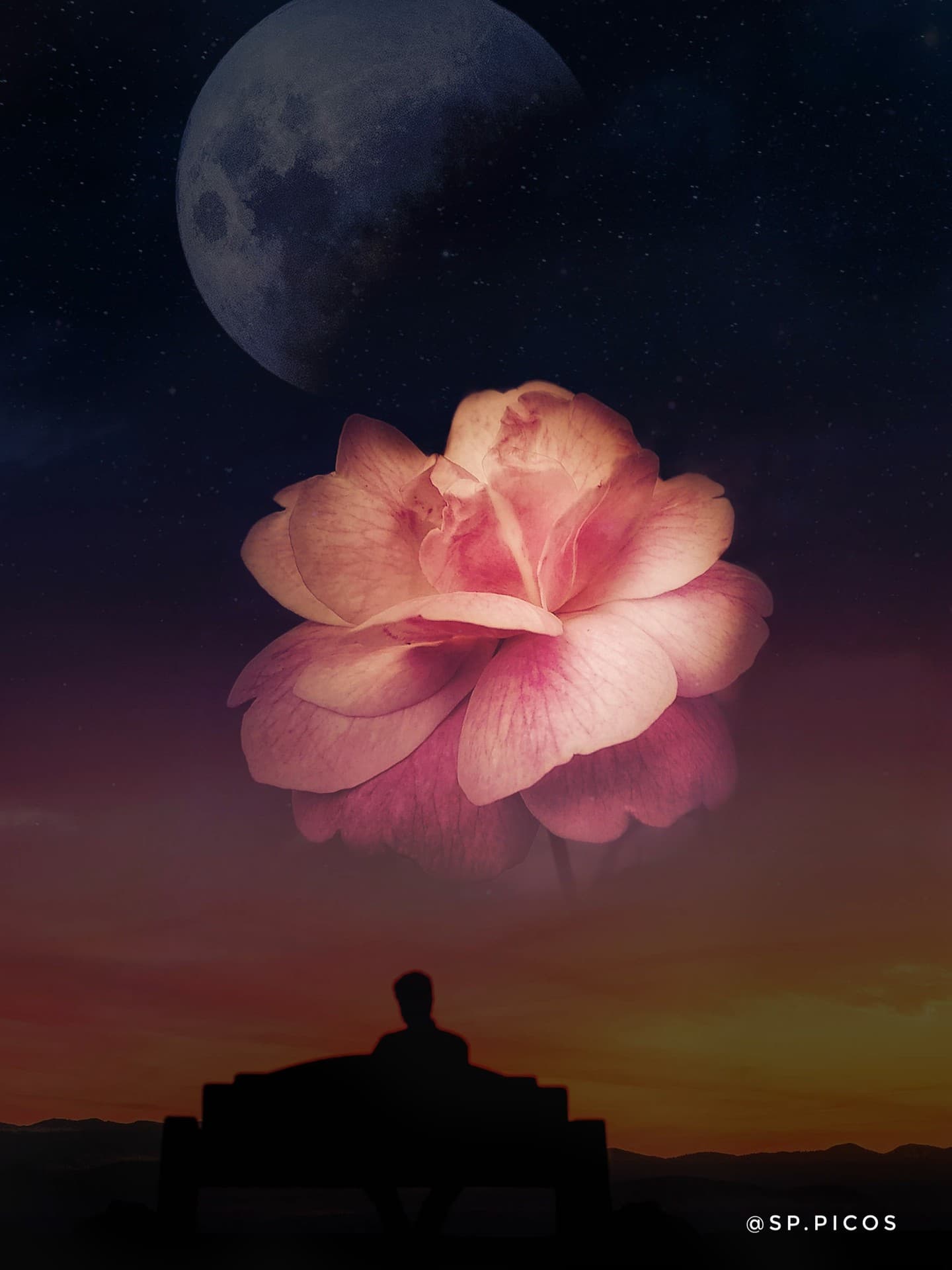 rose