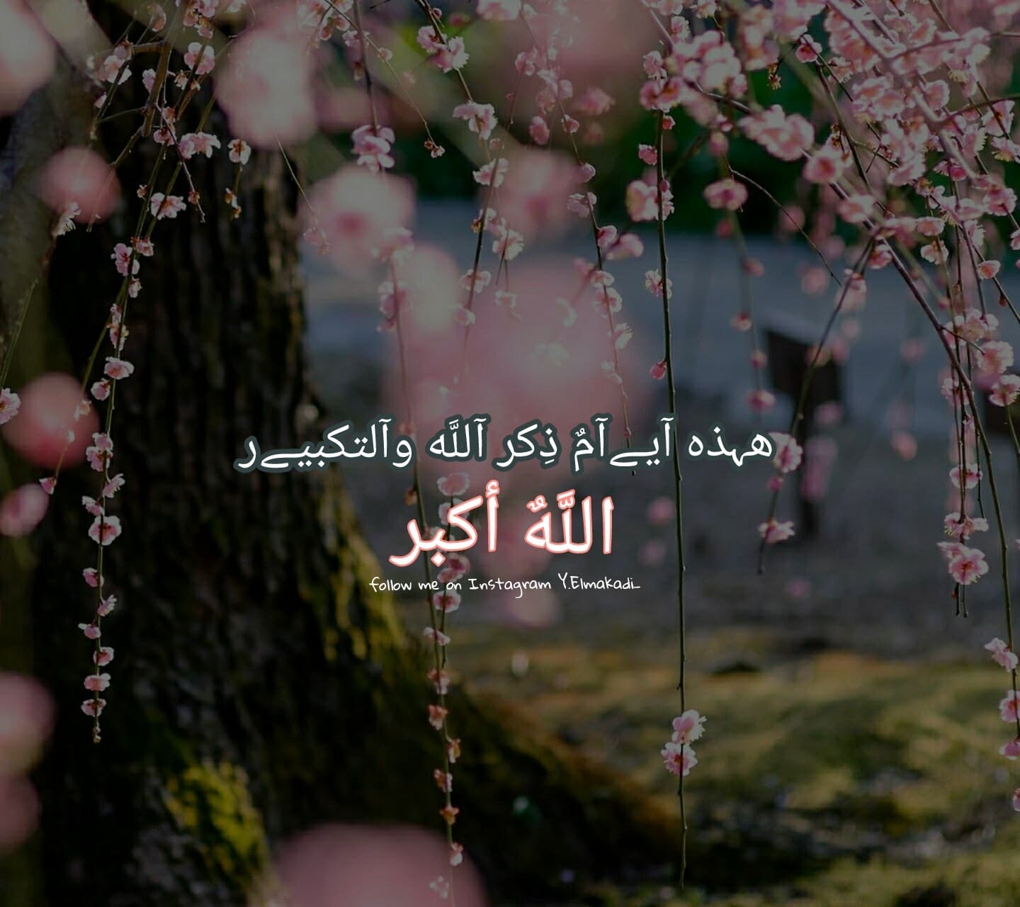 عيد الأضحى المبارك.