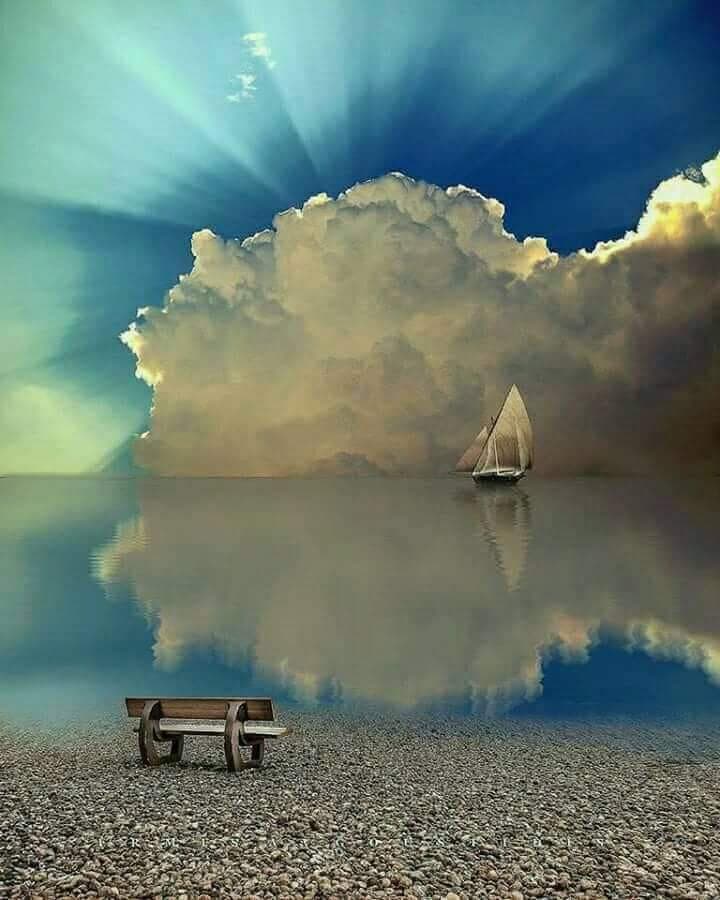 The Lonely Solitude