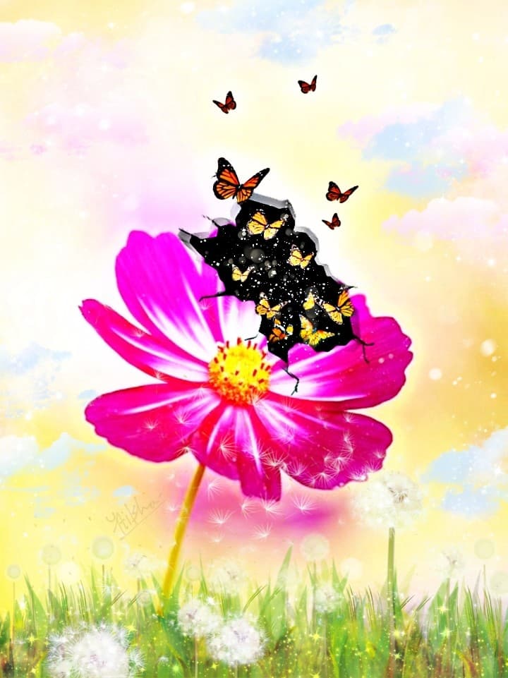 The fight for the freedom :)