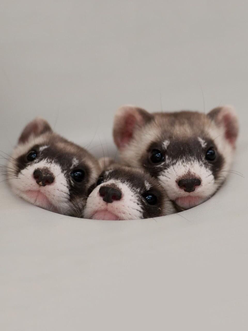 ☺️☺️☺️
