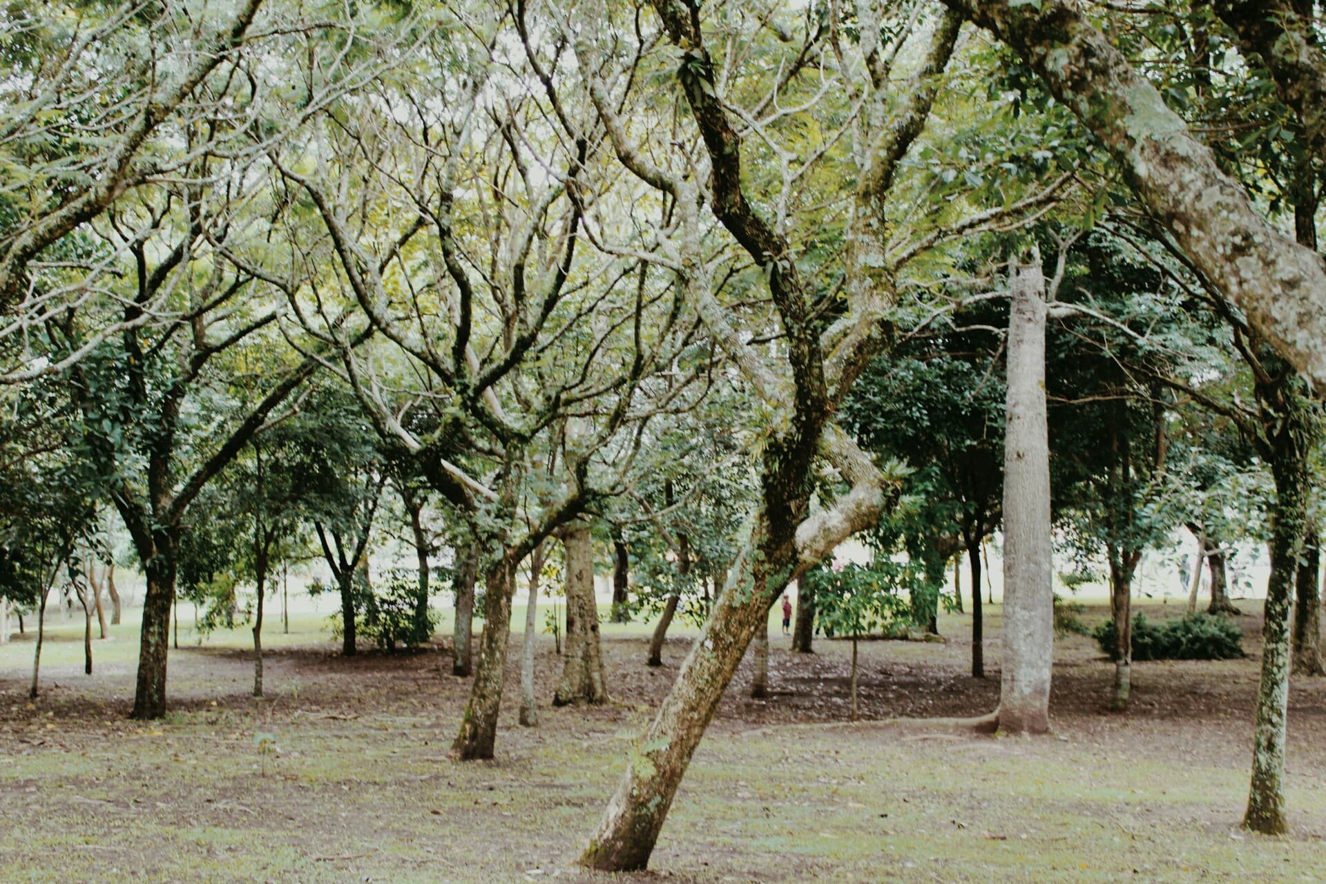 Natureza