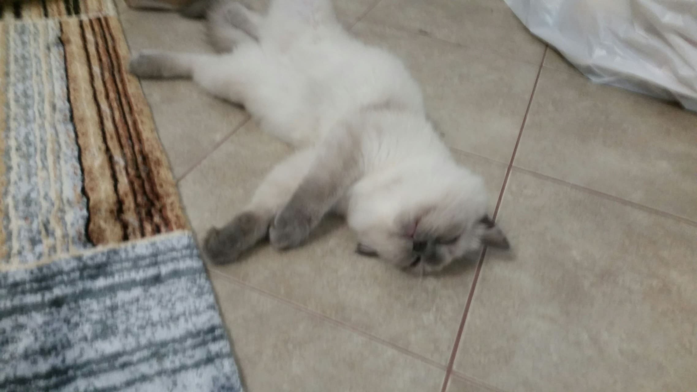 im tired