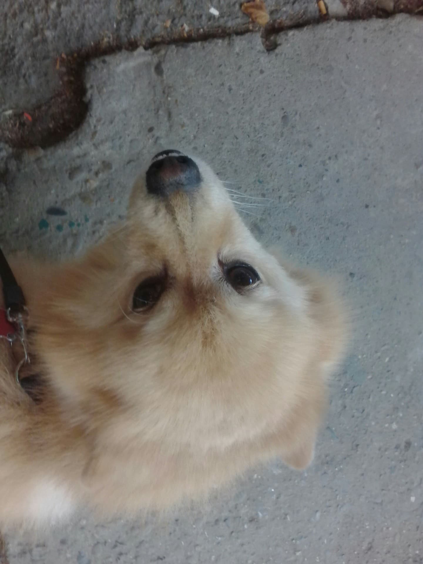 Happy