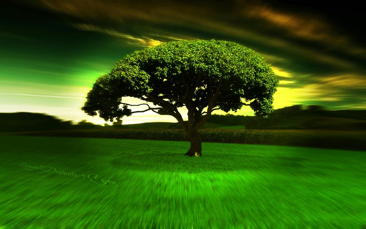 Tree2