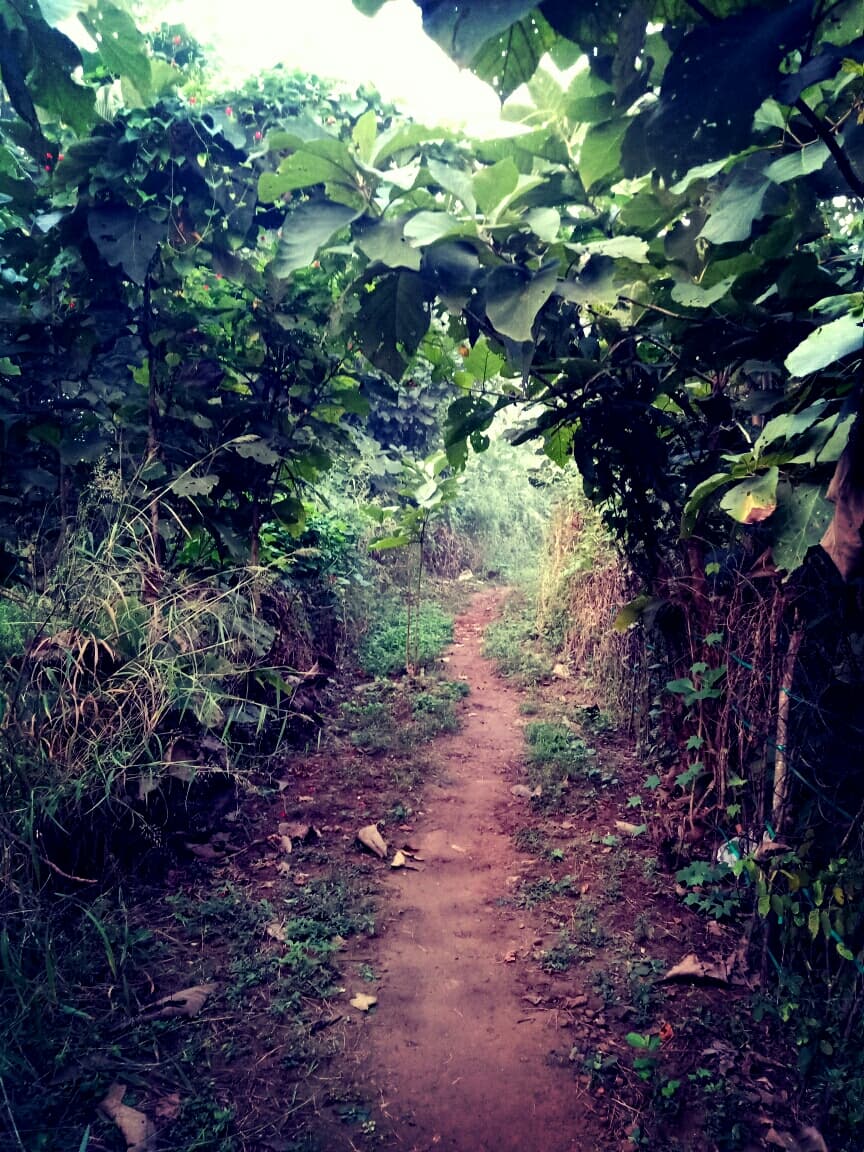 KD PHOTOS