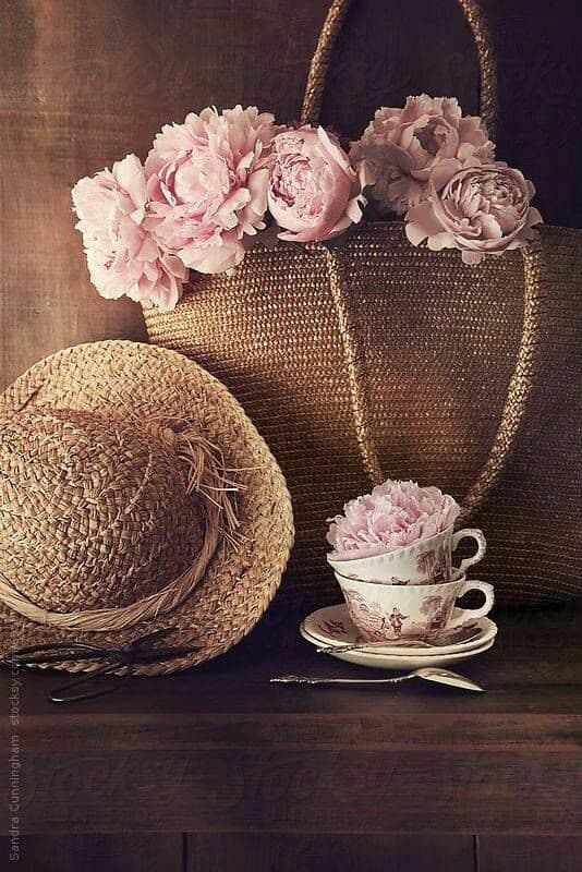 rose