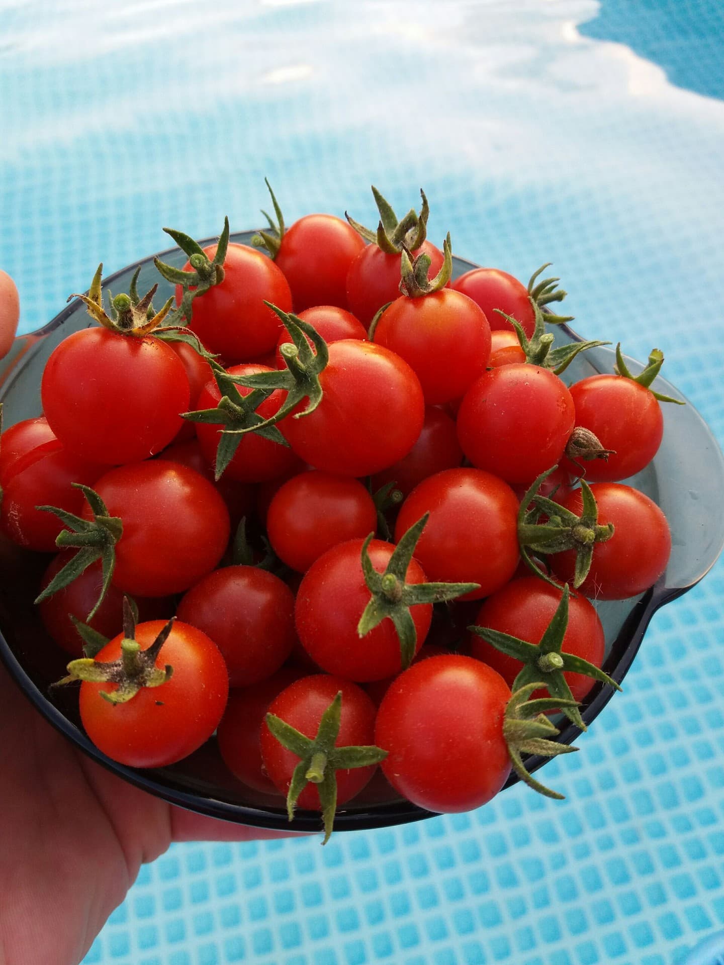cherry tomatoes