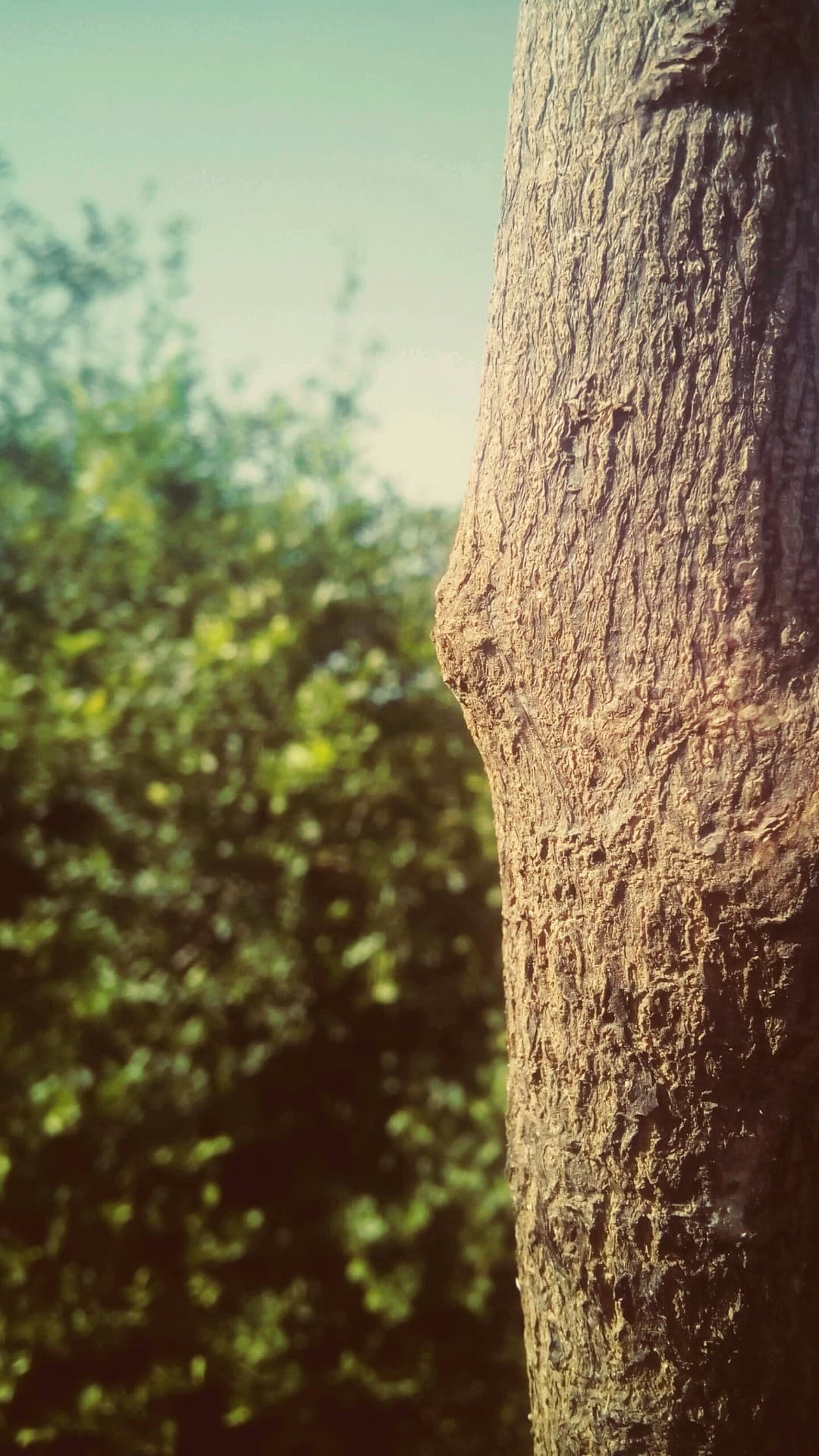 wooden item