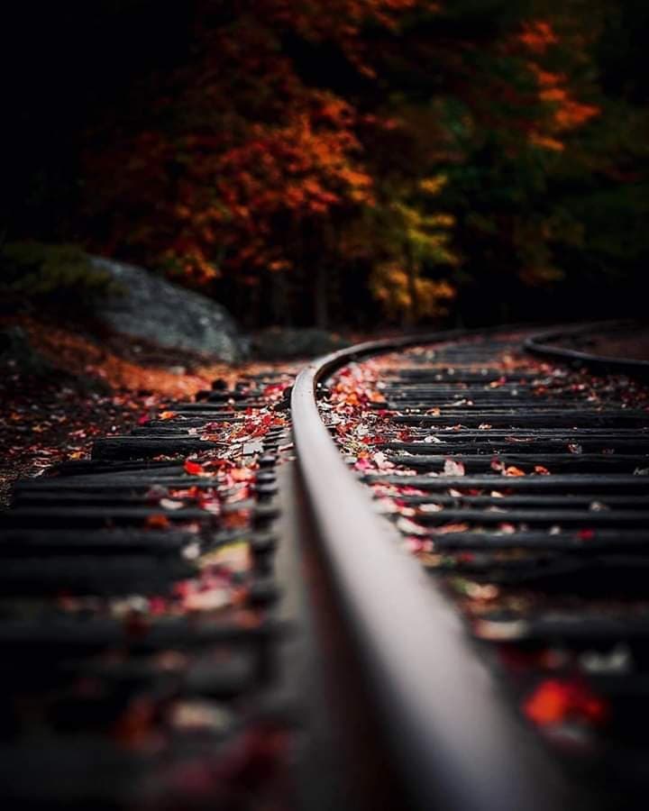 train
