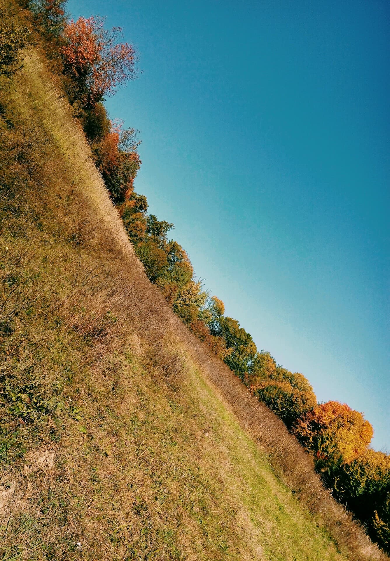 fall