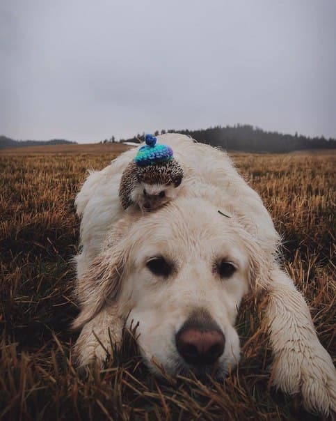 ~