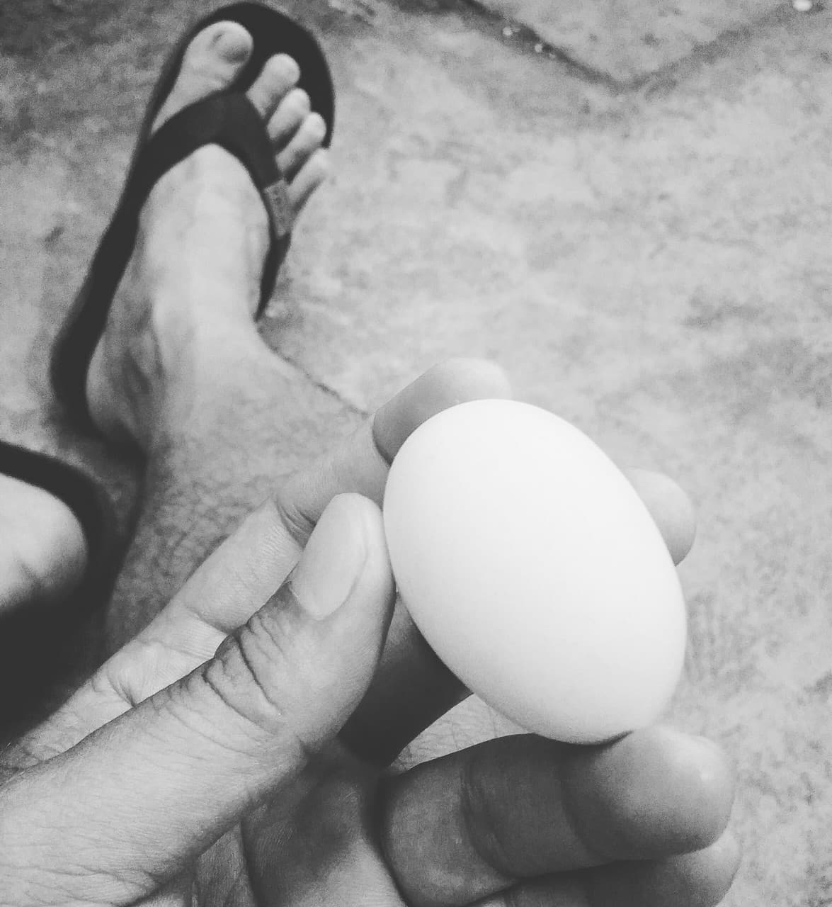 egg