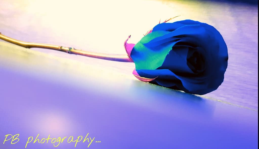 PB Photography