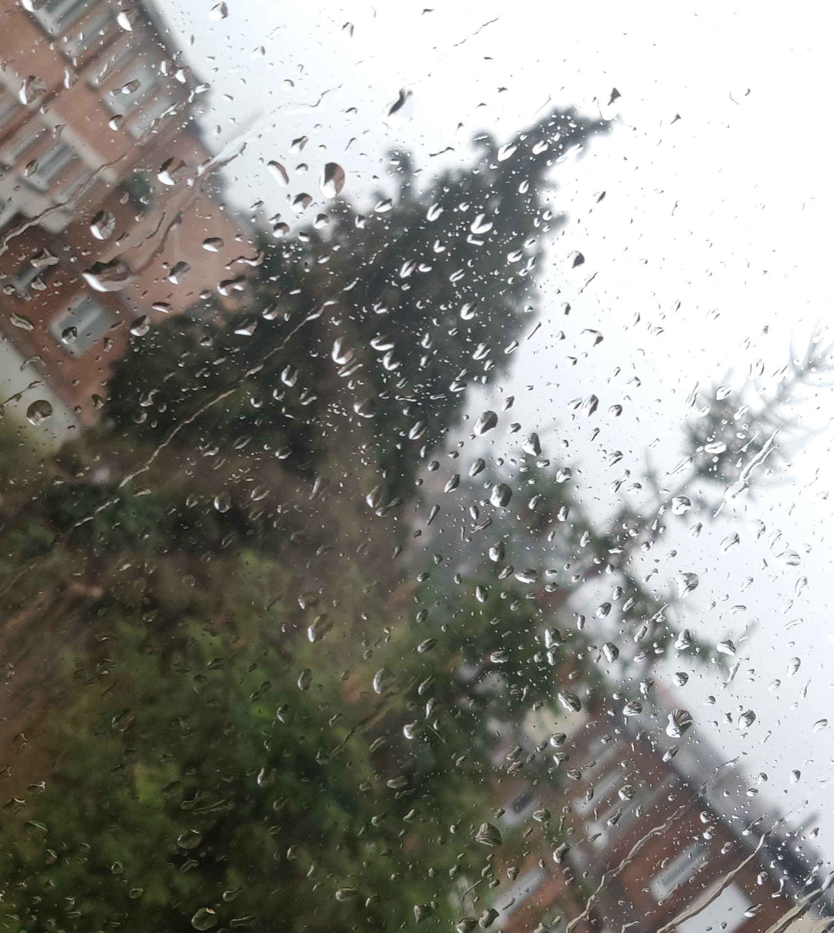 Rain drop